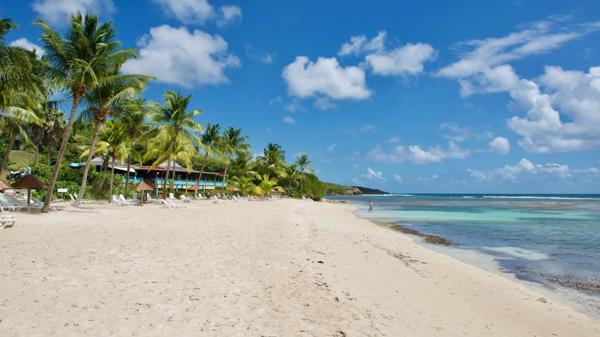 Studio Bruni Lodge Sainte-Anne  Sainte-Anne (Grande-Terre)